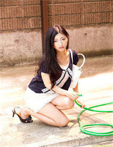 家园防线